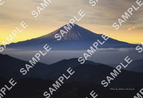 初夏の富士山と雲海の夕景【L判】