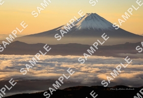 雲海と富士山【L判】