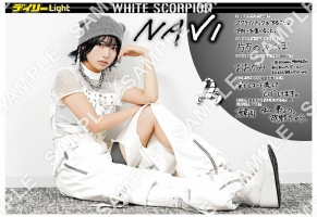 WHITE SCORPION　NAVI④