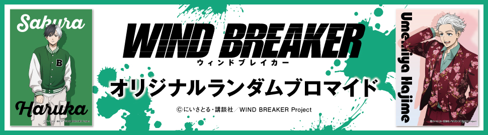 TVアニメ「WIND BREAKER（ウィンドブレイカー）」オリジナルランダムブロマイド【L】